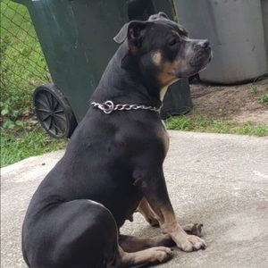 Meet your Posher, Jay